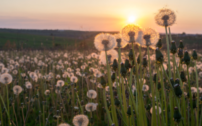 VrijMiBo 27 maart ’26