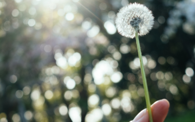 VrijMiBo 24 april ’26