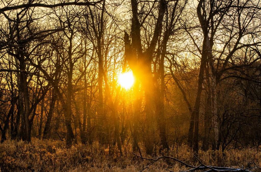 VrijMiBo 30 januari ’26