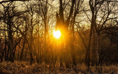 VrijMiBo 30 januari ’26